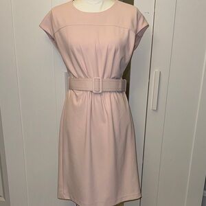 Calvin Klein Pink Midi Dress